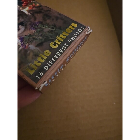 Little Critters Playing Cards Deck, Impact Photographics, 54 Playing Cards - Picture 6 of 7